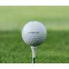 Balles Taylormade TP5 2024 White sur Tee