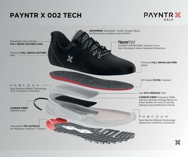 Chaussures Payntr Golf X 002 LE White