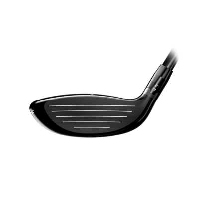 Bois de Parcours Titleist GT2