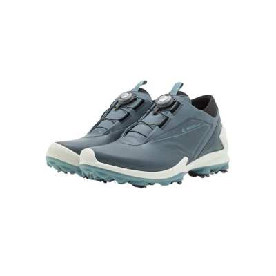 Chaussures Ecco Biom Tour BOA Pavement