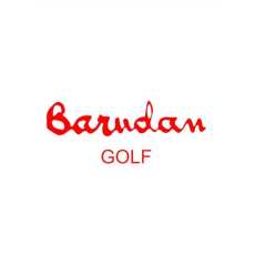 Logo Barudan