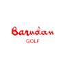 Logo Barudan