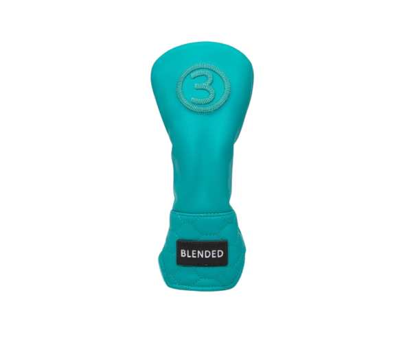 Couvre-Club Barudan Leather Turquoise Bois 3