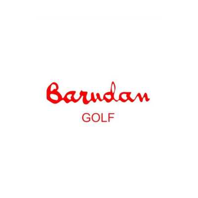 Logo Barudan