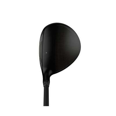 Bois de Parcours Ping G440 Max