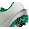 Chaussures Nike Air Zoom Infinity Tour Next% 2 SP25 White Malachite