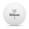 Balles Wilson Triad White