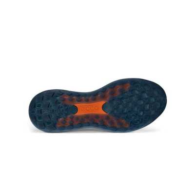 Chaussures Ecco LT1 Boa