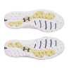 Chaussures Under Armour Drive Pro SL SS25 White Downpour Grey Gold