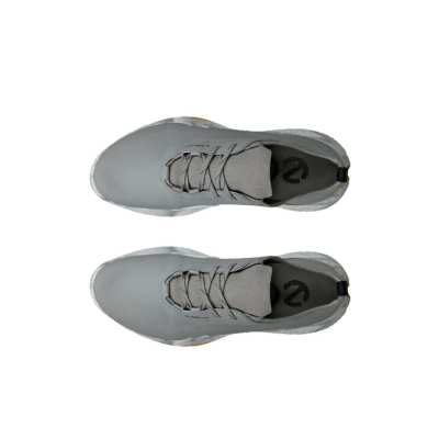 Chaussures Ecco Golf Biom H5 Wild Dove