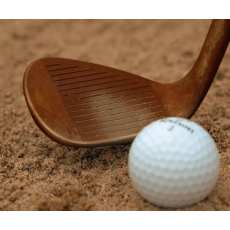 Wedge Wilson Staff Model ZM RAW Acier 25'