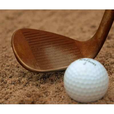 Wedge Wilson Staff Model ZM RAW Acier 25'