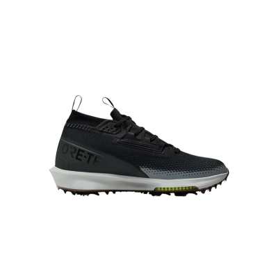 Nike Infinity Tour 2 GORE-TEX Chaussures Golf Imperméables Homme