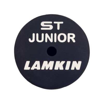 Hybride Junior Ping Prodi G