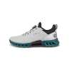Chaussures Ecco Golf Biom C4 BOA AW25 Concrete Bay Green