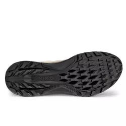 Chaussures Ecco Golf Biom C4 Gore Tex Cashmere Limestone Dark Clay