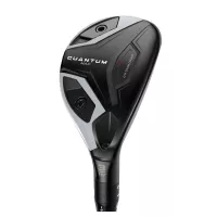 Hybride Callaway Quantum Max