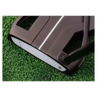 Putter Taylormade Spider Tour X 26 SL Small Slant