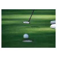 Putter Taylormade Spider Tour X 26 SL Small Slant