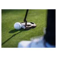 Putter Taylormade Spider Tour X 26 TP L-Neck