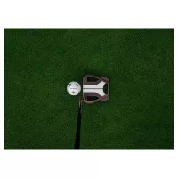 Putter Taylormade Spider Tour X 26 TP L-Neck