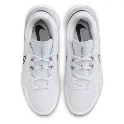 Chaussures Nike Infinity Pro 2 White