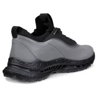 Chaussures Ecco Golf Biom C5 Steel FW26
