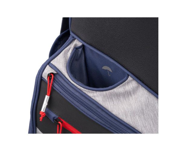 Sac Chariot Mizuno BR-D4C Cart Bag