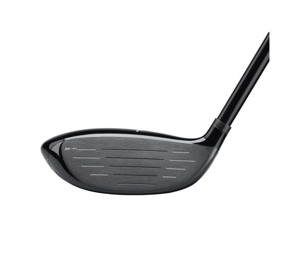 Bois de Parcours Mizuno ST-X 220 Face