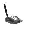 Putter Taylormade Spider Tour Z Double Bend
