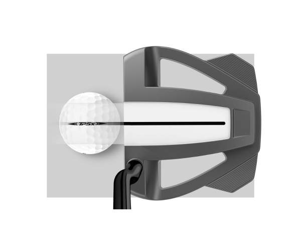 Putter Taylormade Spider Tour Z Double Bend