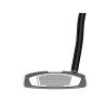 Putter Taylormade Spider Tour X Double Bend