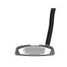 Putter Taylormade Spider Tour Double Bend