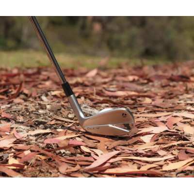 Série de Fers Taylormade P770 Acier